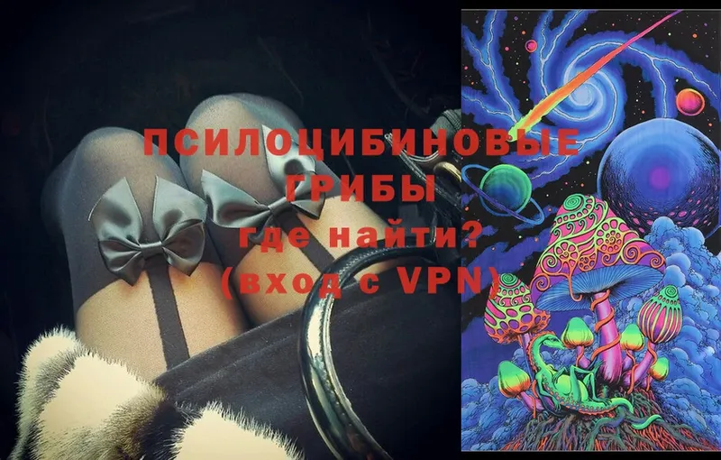 Галлюциногенные грибы Cubensis  Сковородино 